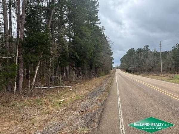 9.6 Acres of Residential Land for Sale in Mount Olive, Louisiana