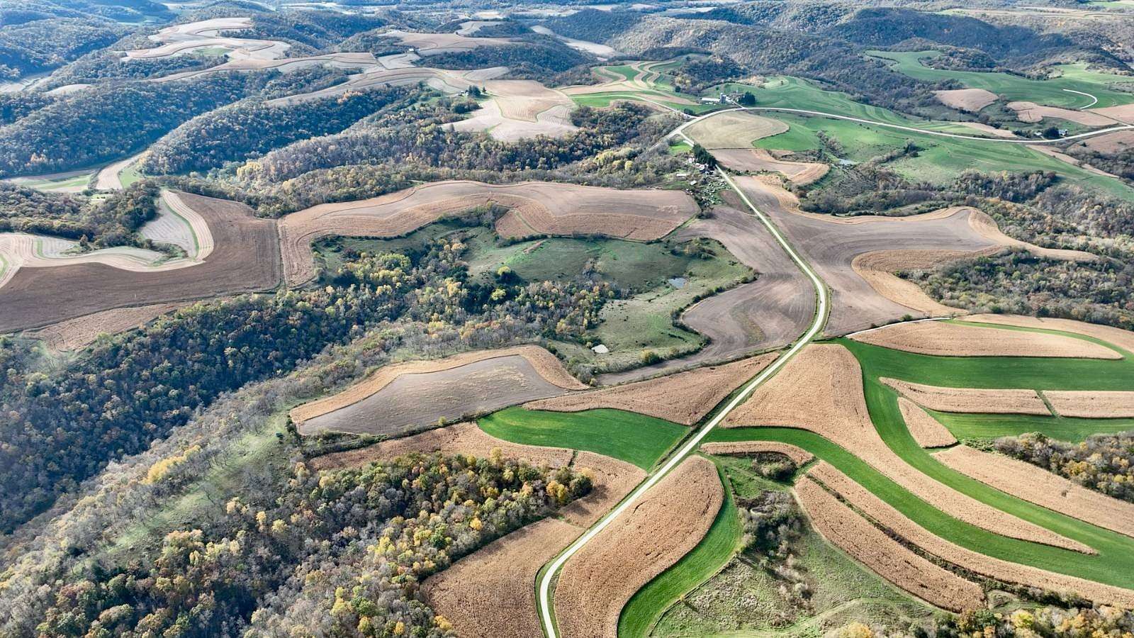 320 Acres of Land for Auction in Jefferson Township, Minnesota