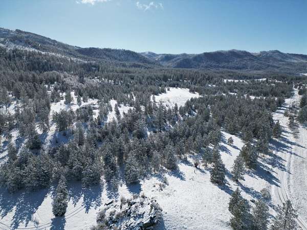 75 Acres of Land for Sale in Fruitland, Washington