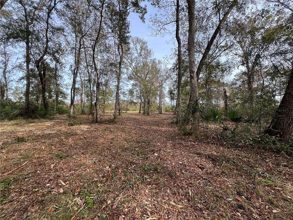 1 Acre of Residential Land for Sale in Brunswick, Georgia