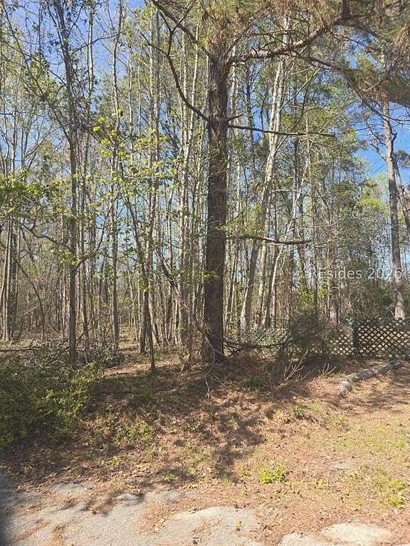 Residential Land for Sale in Brunson, South Carolina