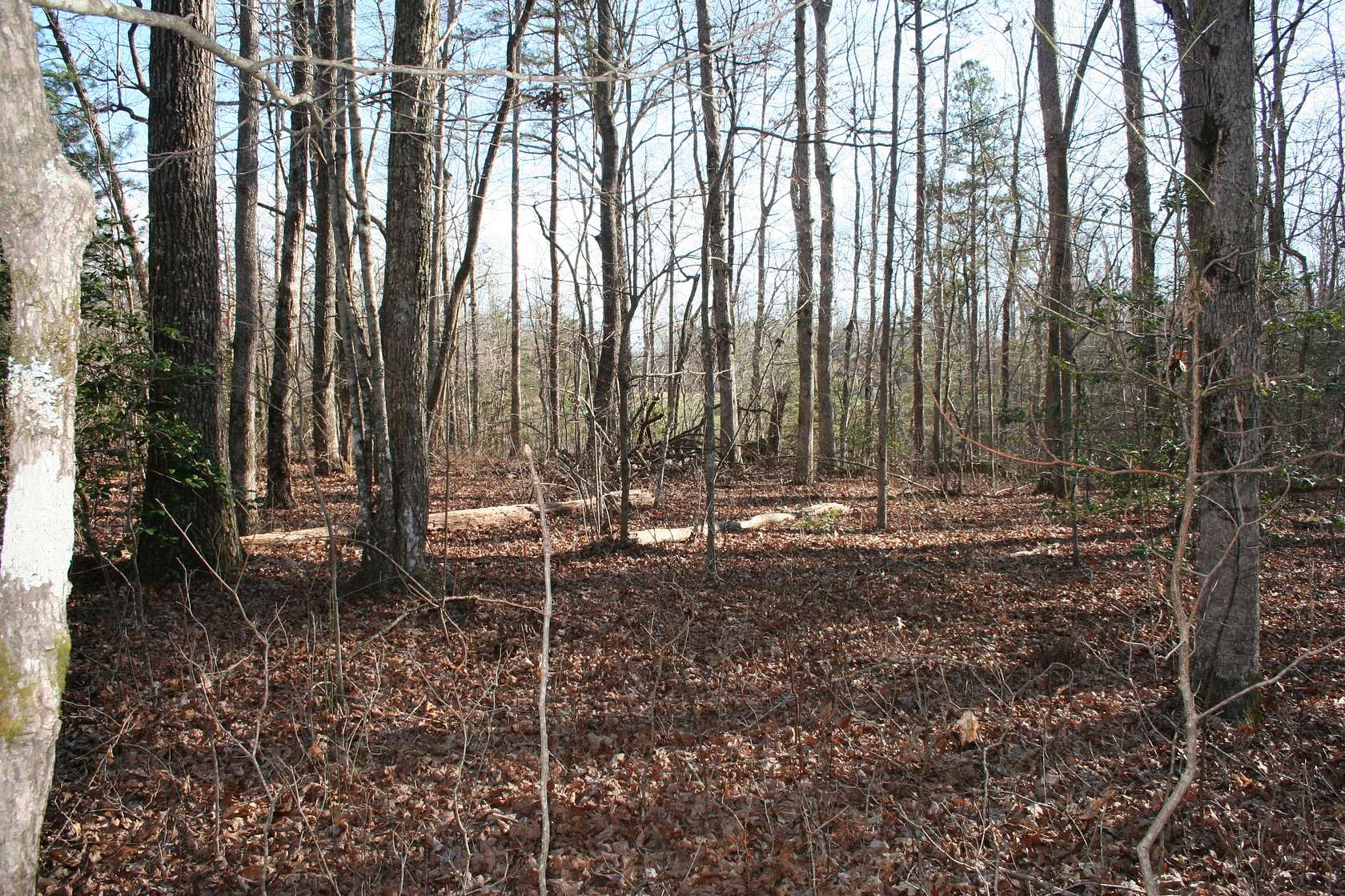 1 Acre of Residential Land for Sale in Gruetli-Laager, Tennessee
