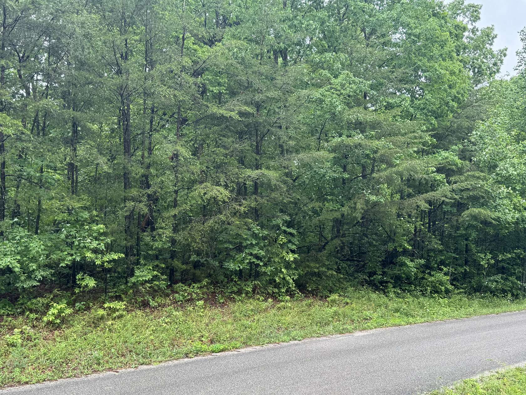 1 Acre of Residential Land for Sale in Gruetli-Laager, Tennessee
