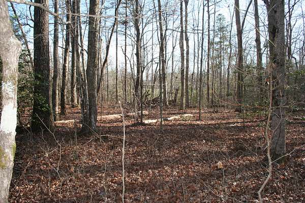1 Acre of Residential Land for Sale in Gruetli-Laager, Tennessee
