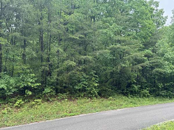 1 Acre of Residential Land for Sale in Gruetli-Laager, Tennessee