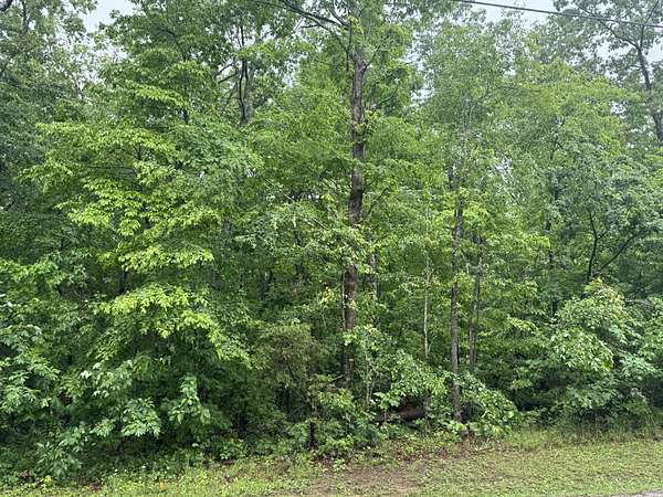 0.78 Acres of Residential Land for Sale in Gruetli-Laager, Tennessee