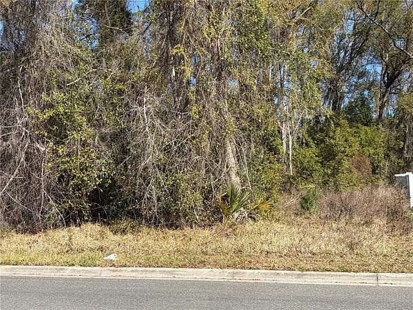 0.11 Acres of Residential Land for Sale in Gainesville, Florida