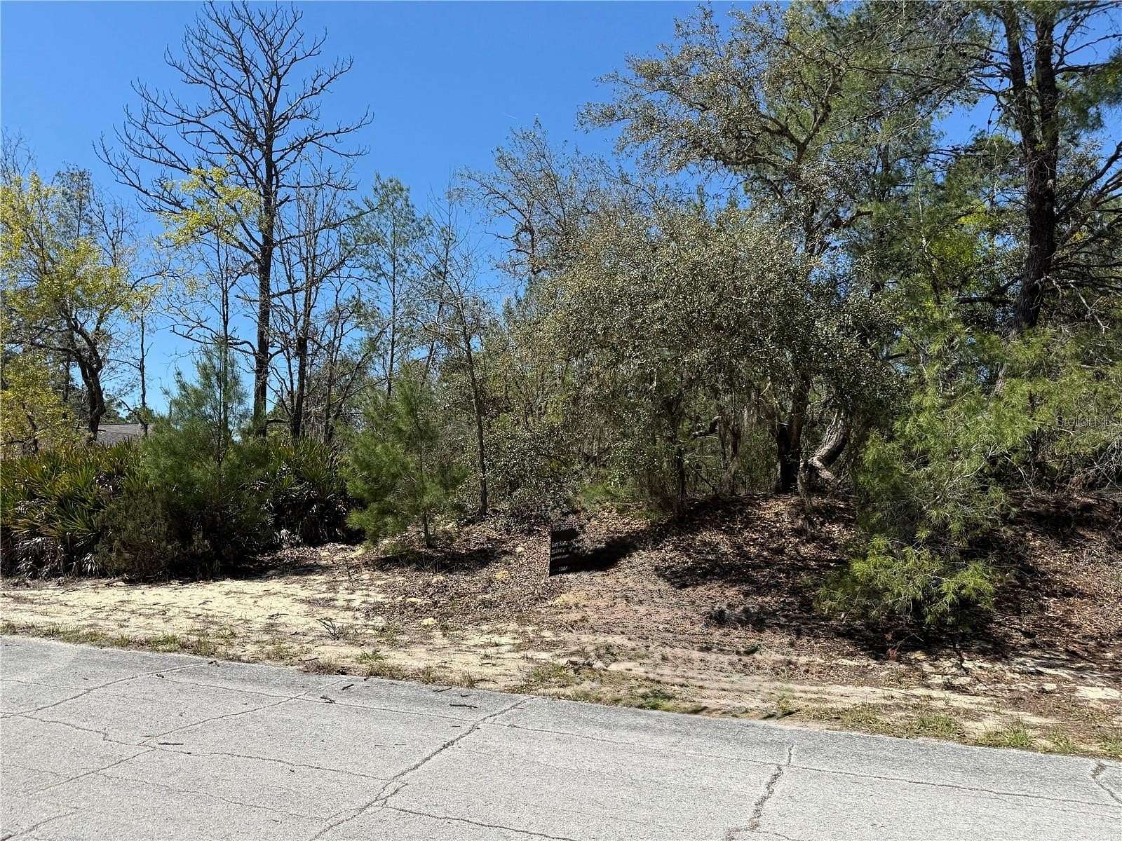 0.31 Acres of Residential Land for Sale in Dunnellon, Florida