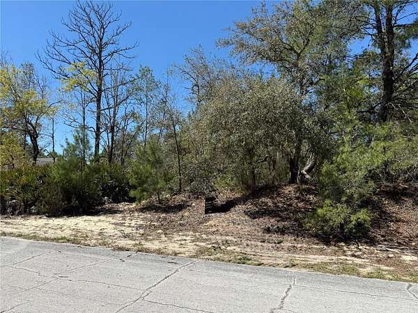 0.31 Acres of Residential Land for Sale in Dunnellon, Florida