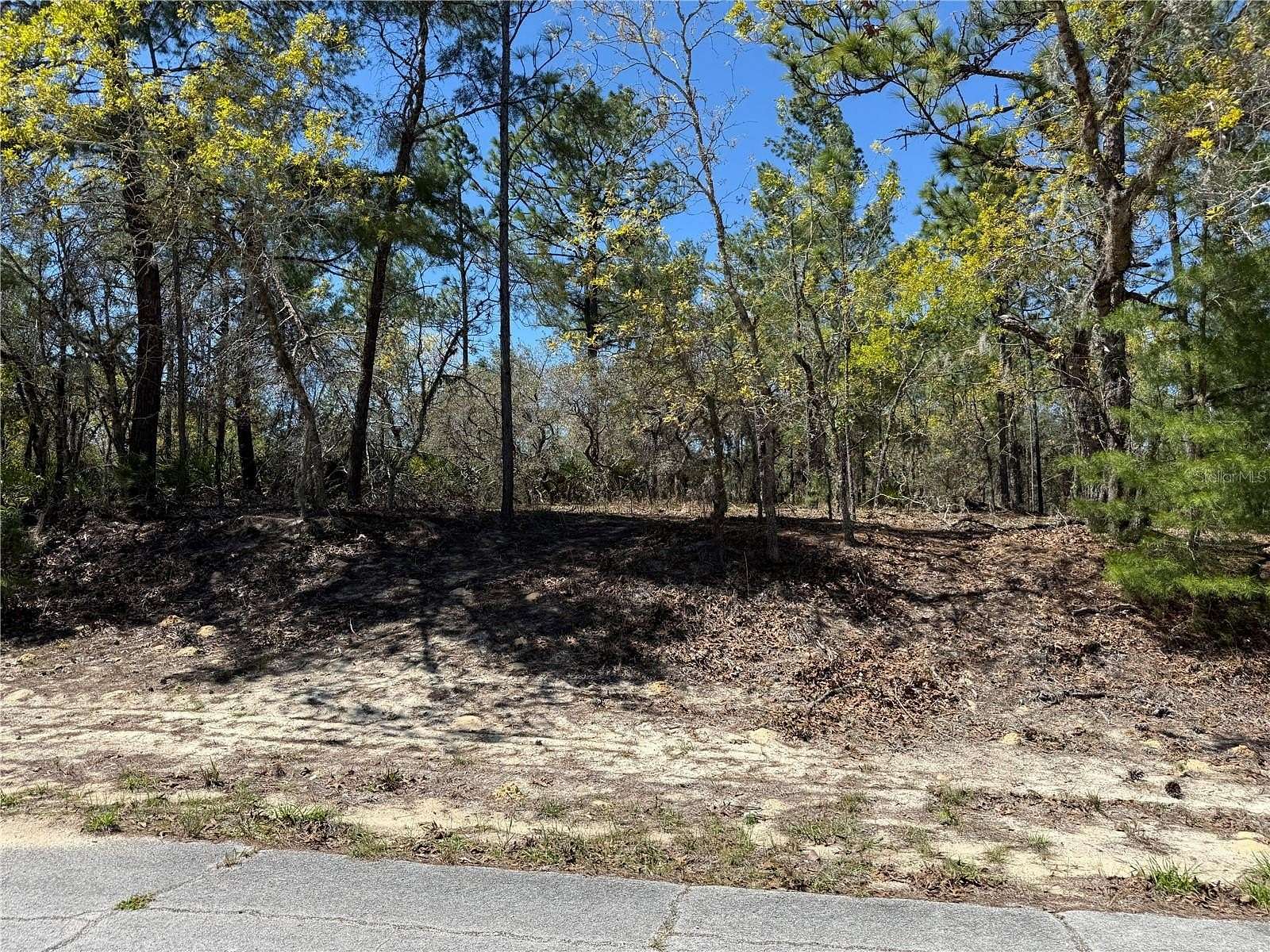 0.3 Acres of Residential Land for Sale in Dunnellon, Florida