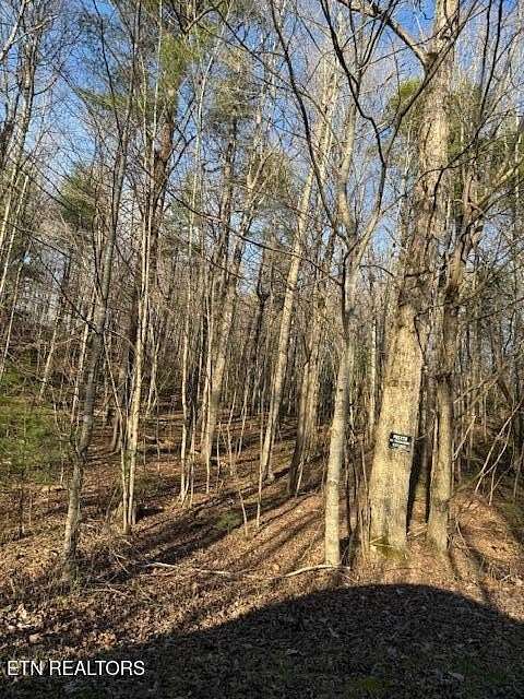 3.5 Acres of Residential Land for Sale in Oneida, Tennessee