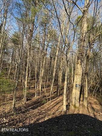 3.5 Acres of Residential Land for Sale in Oneida, Tennessee