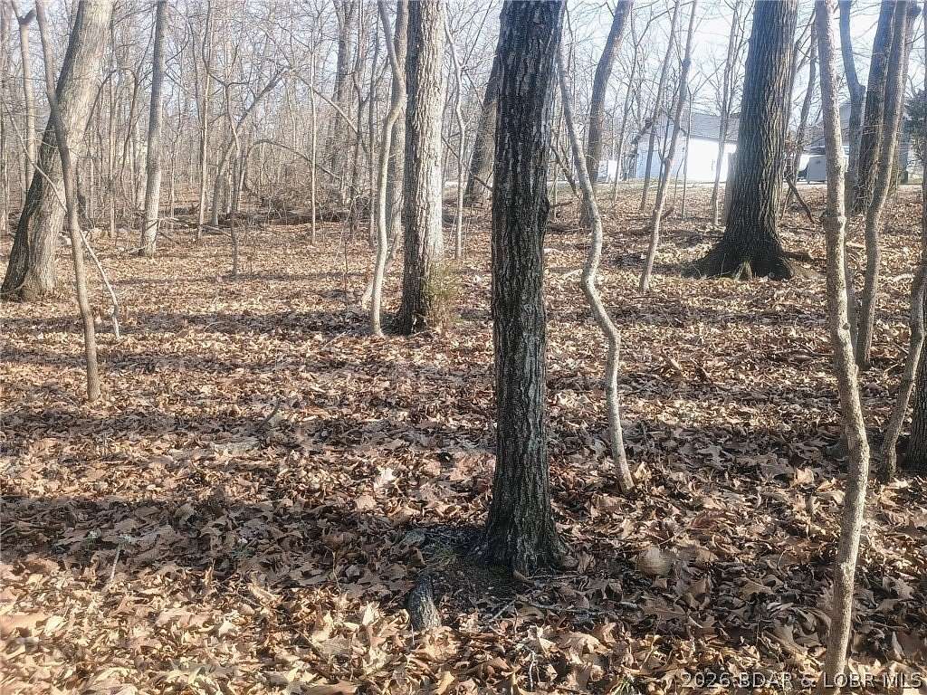 0.58 Acres of Residential Land for Sale in Village of Four Seasons, Missouri