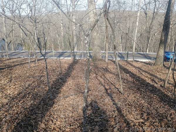 0.2 Acres of Residential Land for Sale in Village of Four Seasons, Missouri