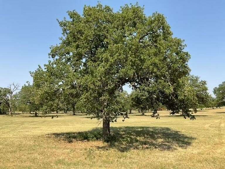 1.72 Acres of Residential Land for Sale in Burleson, Texas