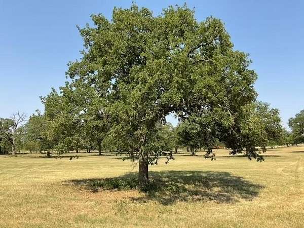 1.72 Acres of Residential Land for Sale in Burleson, Texas