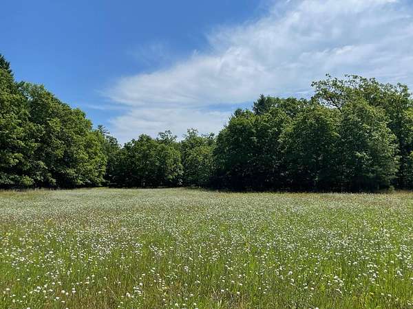 39.2 Acres of Recreational Land for Sale in Irons, Michigan