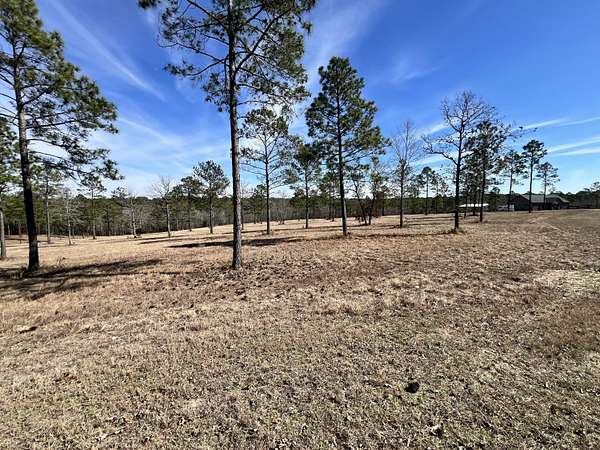 11.3 Acres of Land for Sale in Aiken, South Carolina