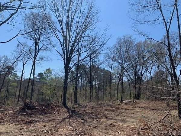 14 Acres of Land for Sale in Bismarck, Arkansas