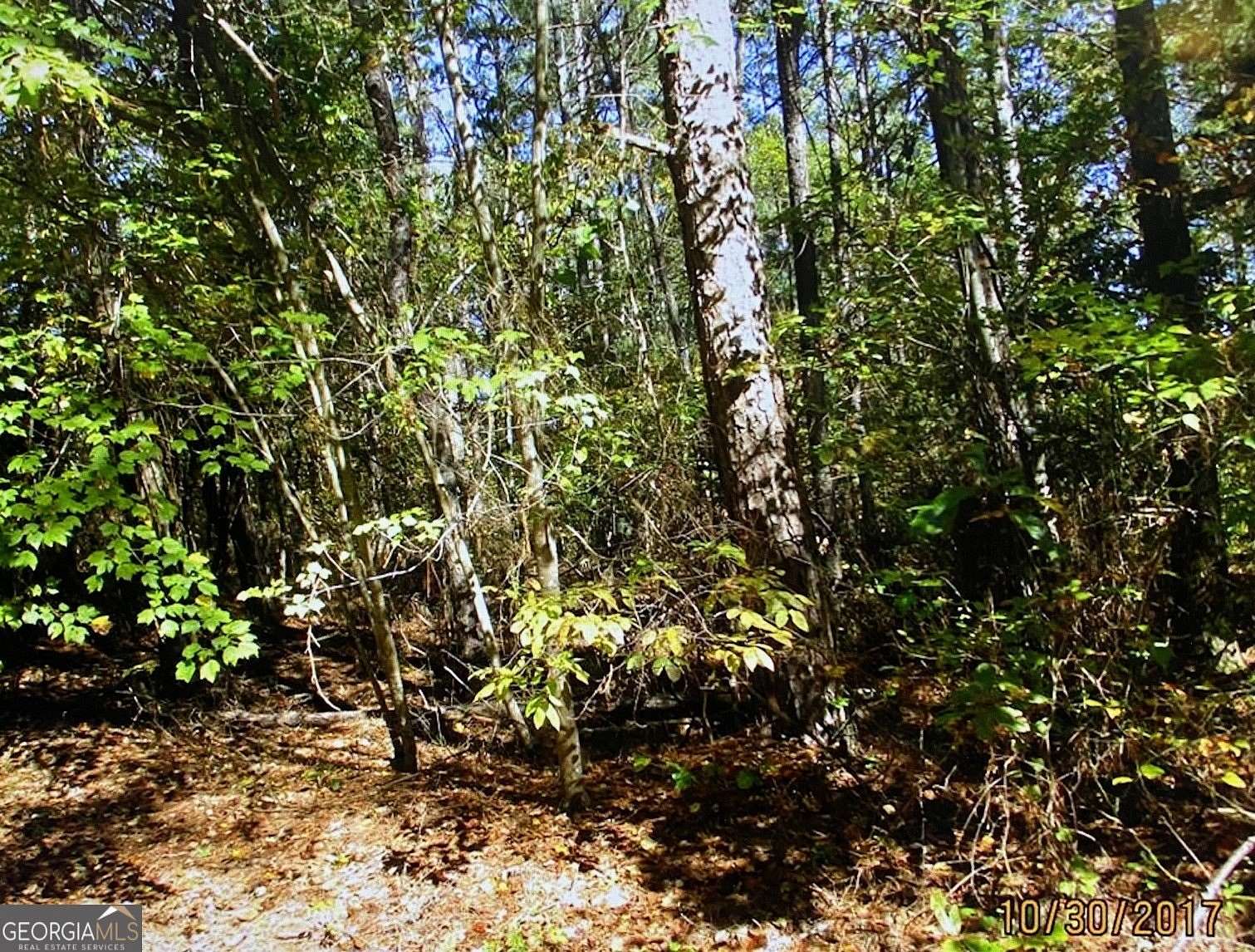 0.23 Acres of Residential Land for Sale in Villa Rica, Georgia