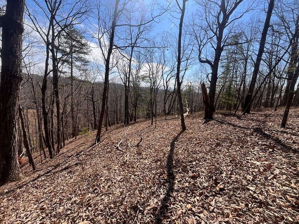 1.3 Acres of Residential Land for Sale in Ellijay, Georgia