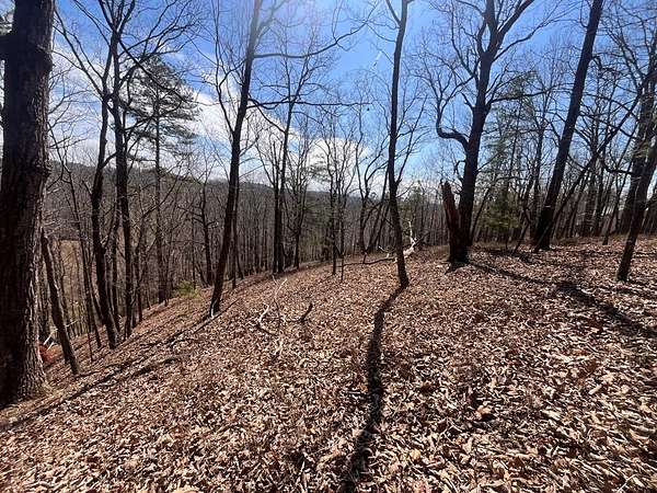 1.3 Acres of Residential Land for Sale in Ellijay, Georgia