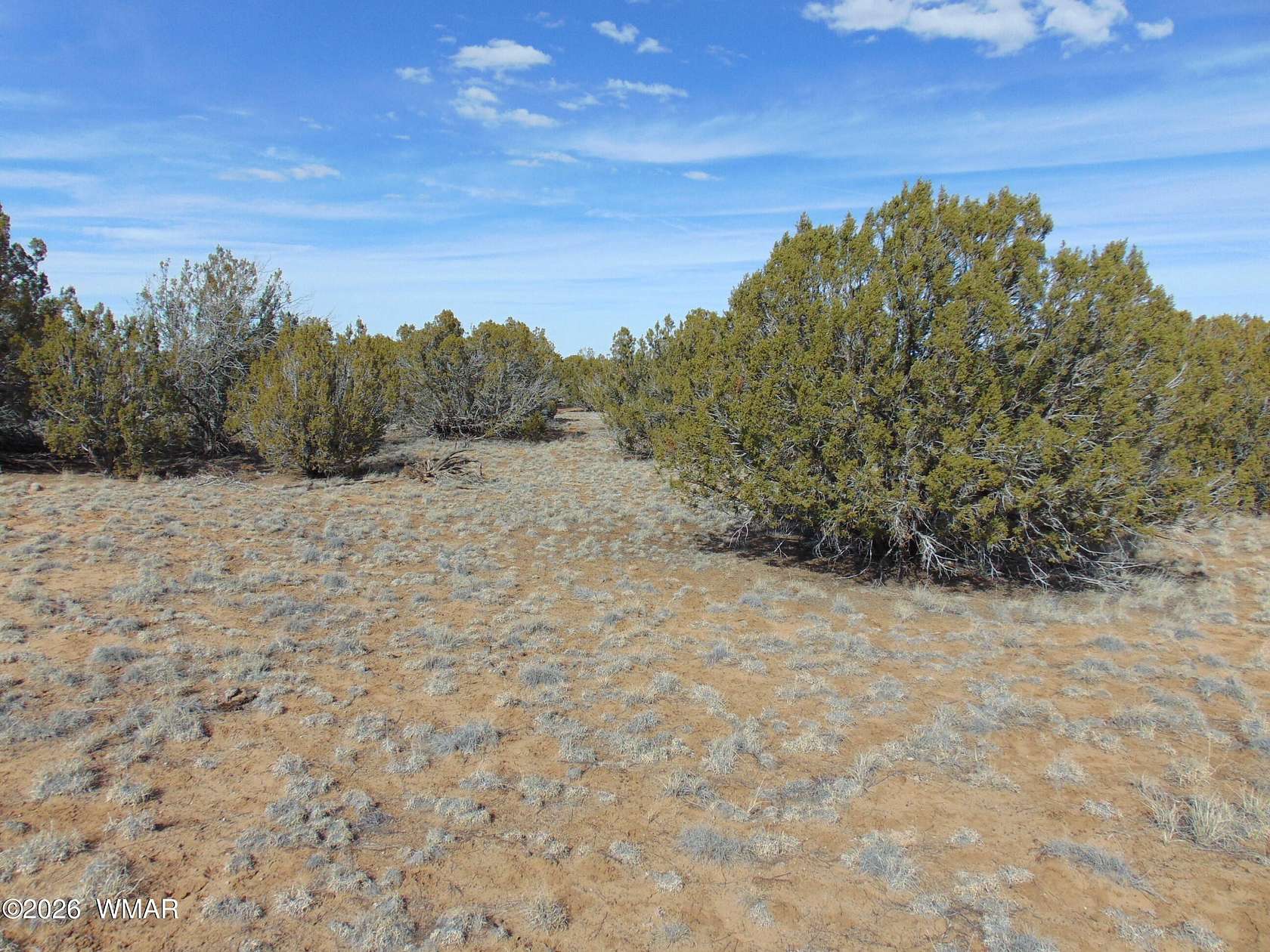 2.32 Acres of Residential Land for Sale in Vernon, Arizona