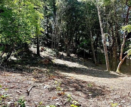 0.69 Acres of Residential Land for Sale in Willow Creek, California