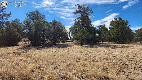 2.49 Acres of Land for Sale in Cotopaxi, Colorado