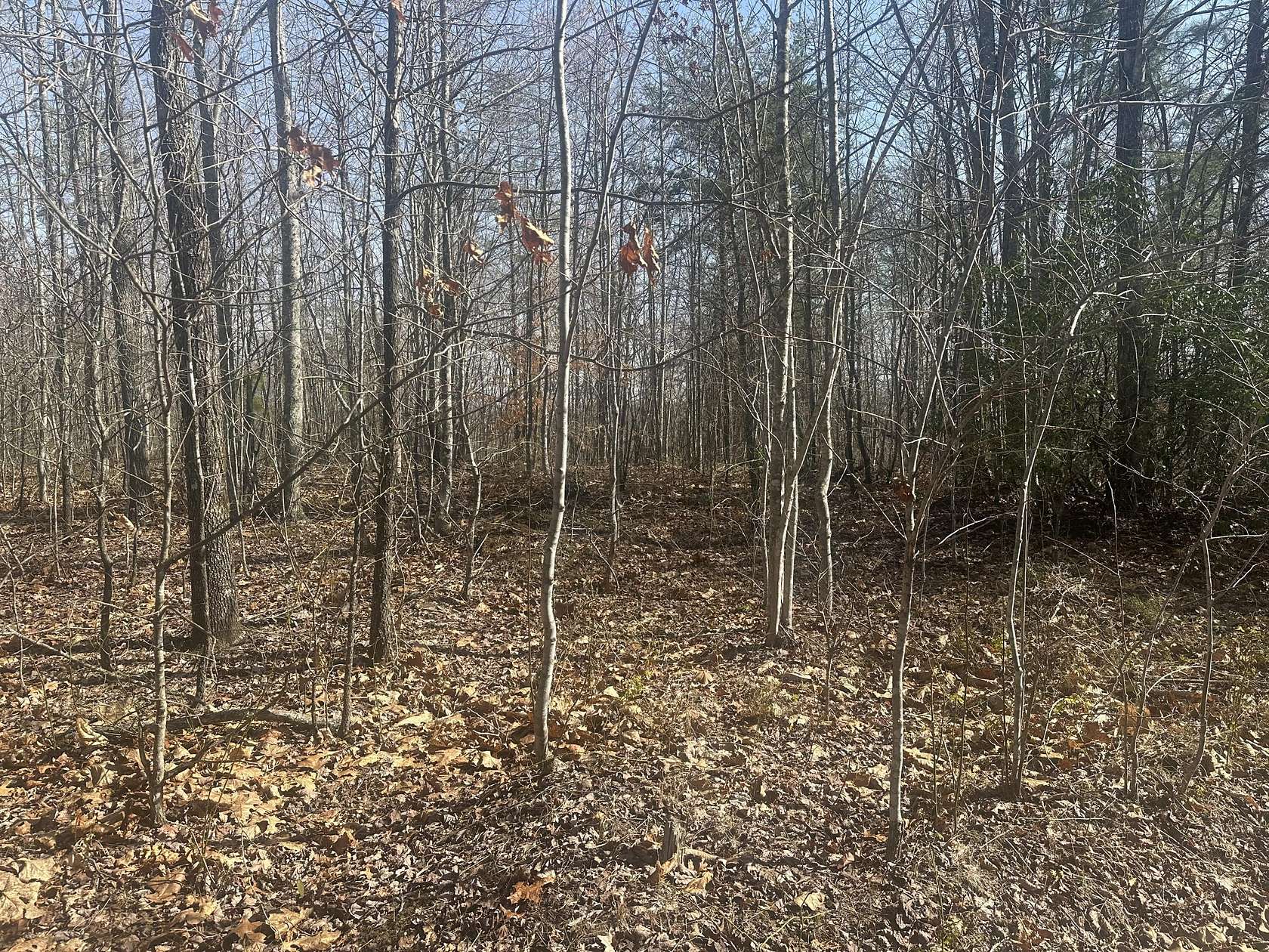 10 Acres of Recreational & Residential Land for Sale in Strunk, Kentucky