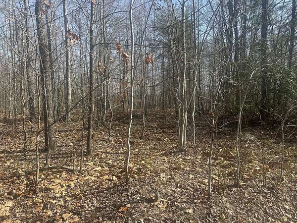 10 Acres of Recreational & Residential Land for Sale in Strunk, Kentucky