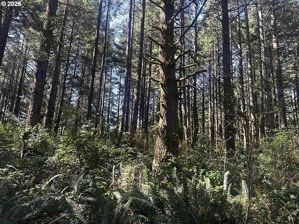 31.3 Acres of Land for Sale in Port Orford, Oregon