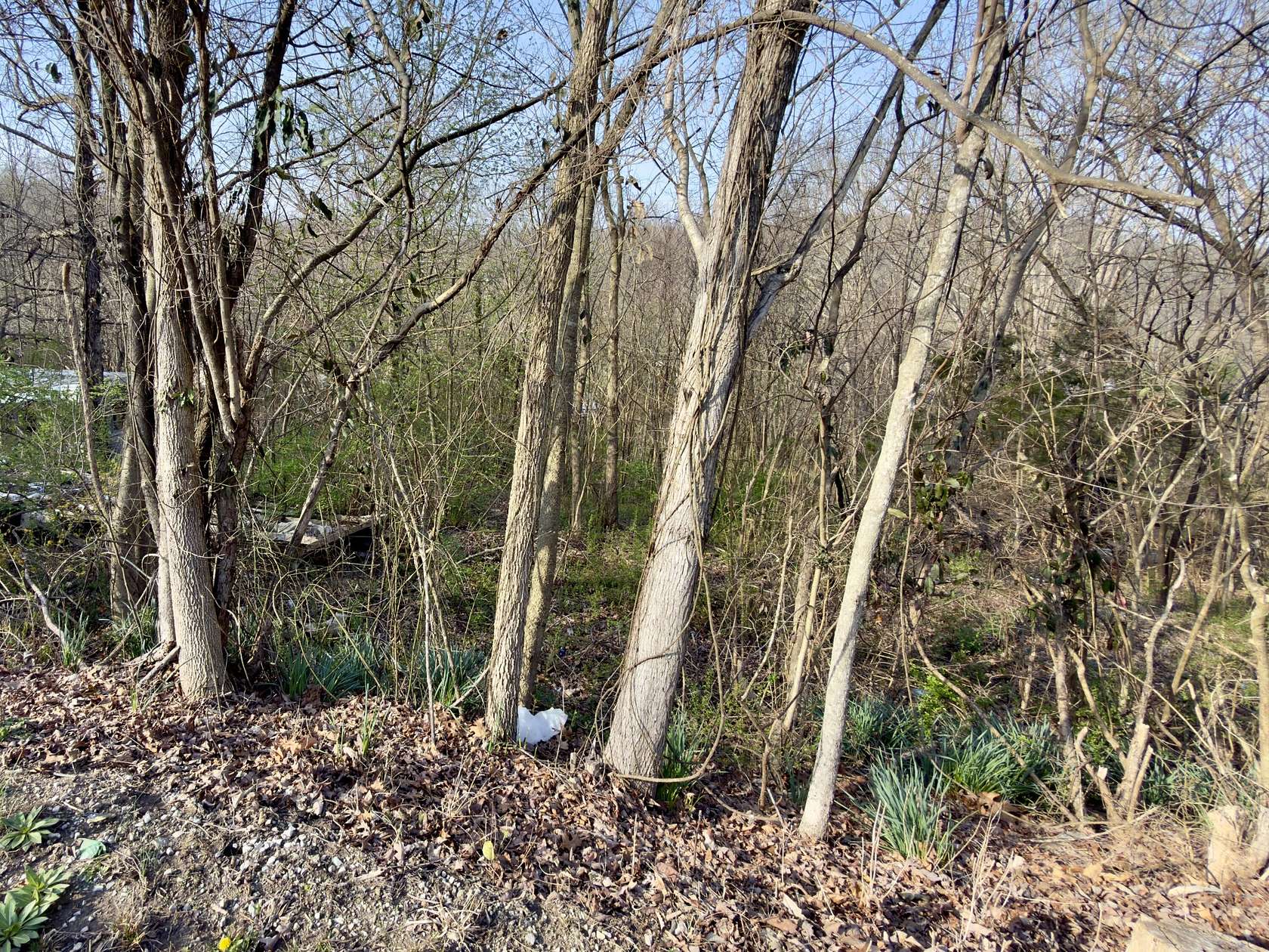 0.43 Acres of Residential Land for Sale in Monticello, Kentucky