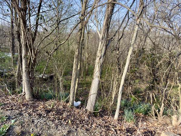 0.43 Acres of Residential Land for Sale in Monticello, Kentucky
