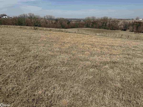 107 Acres of Agricultural Land for Sale in Nodaway, Iowa