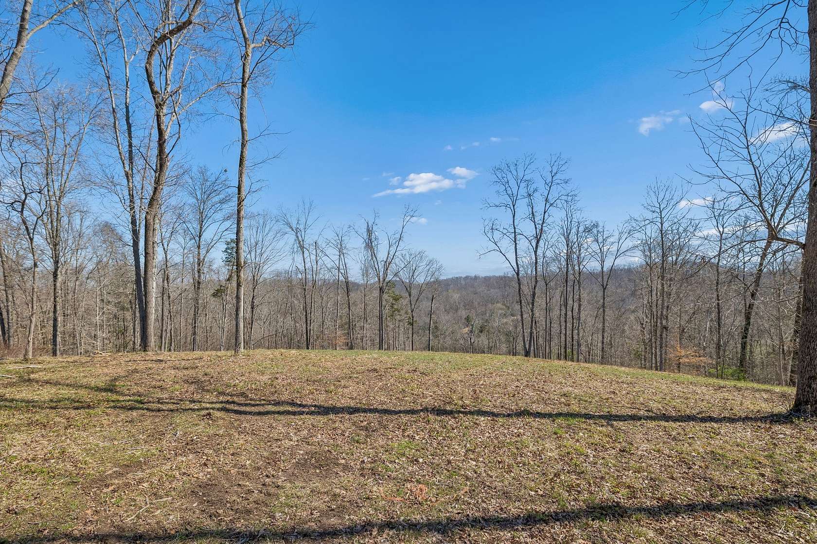 5.16 Acres of Residential Land for Sale in Franklin, Tennessee