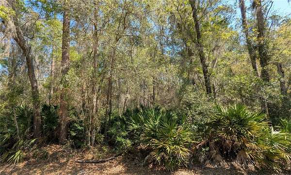 1.8 Acres of Residential Land for Sale in Gainesville, Florida