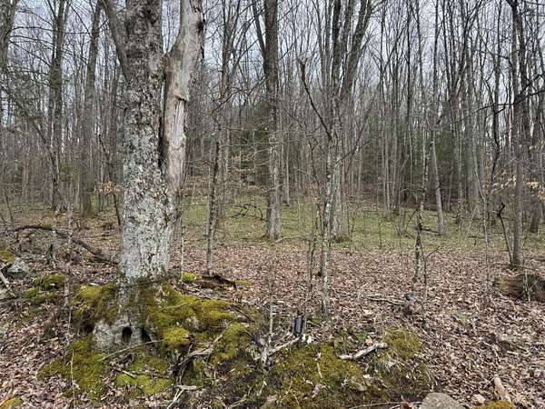 1 Acre of Residential Land for Sale in Craigsville, West Virginia
