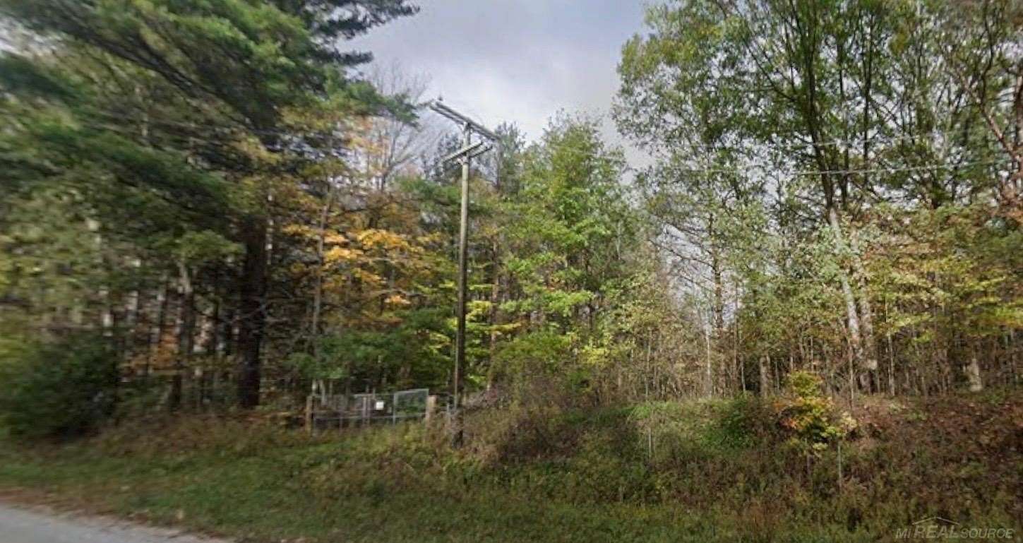 67.3 Acres of Recreational & Residential Land for Sale in Clyde Township, Michigan