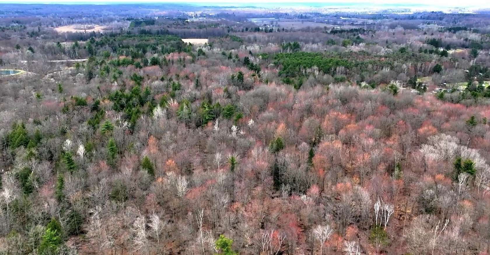 67.3 Acres of Recreational & Residential Land for Sale in Clyde Township, Michigan