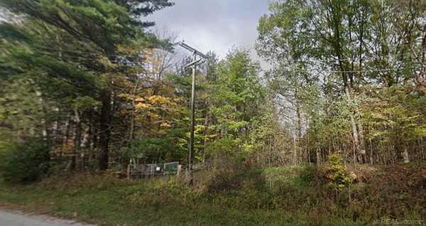 67.3 Acres of Recreational & Residential Land for Sale in Clyde Township, Michigan