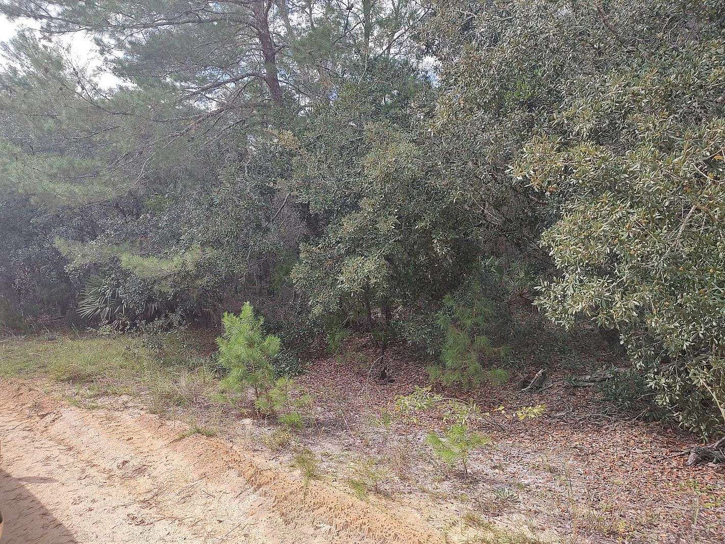 0.3 Acres of Residential Land for Sale in Interlachen, Florida