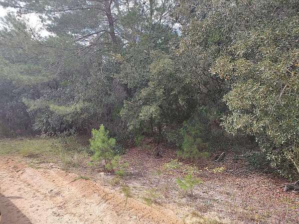 0.3 Acres of Residential Land for Sale in Interlachen, Florida