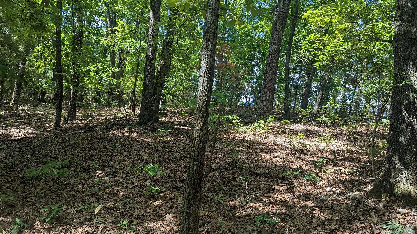 3.4 Acres of Residential Land for Sale in Cape Fair, Missouri