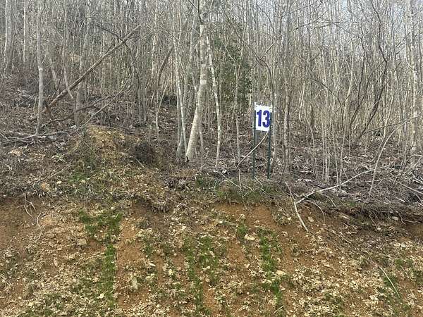 1.32 Acres of Residential Land for Sale in East Bernstadt, Kentucky
