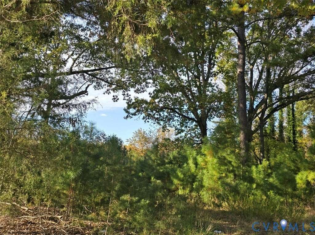 13.2 Acres of Recreational & Residential Land for Sale in Amelia Court House, Virginia