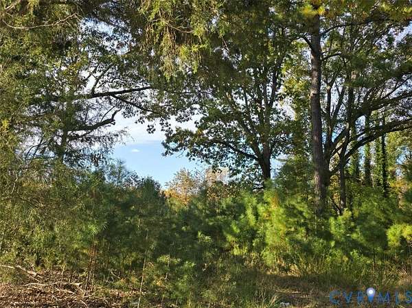 13.2 Acres of Recreational & Residential Land for Sale in Amelia Court House, Virginia