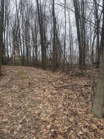1.5 Acres of Residential Land for Sale in Sand Lake, Michigan