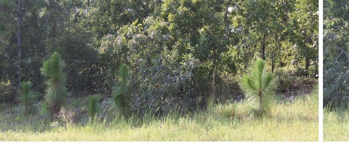 0.7 Acres of Residential Land for Sale in Graniteville, South Carolina