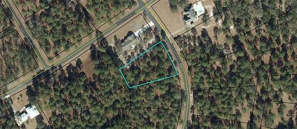 0.75 Acres of Residential Land for Sale in Townsend, Georgia